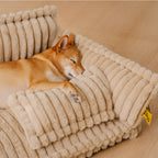 Where your pet’s rest comes first – PawSure Comfort™