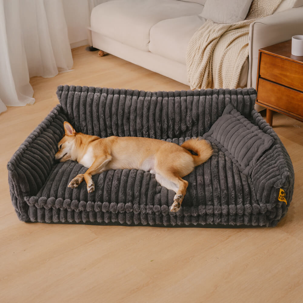 Where your pet’s rest comes first – PawSure Comfort™