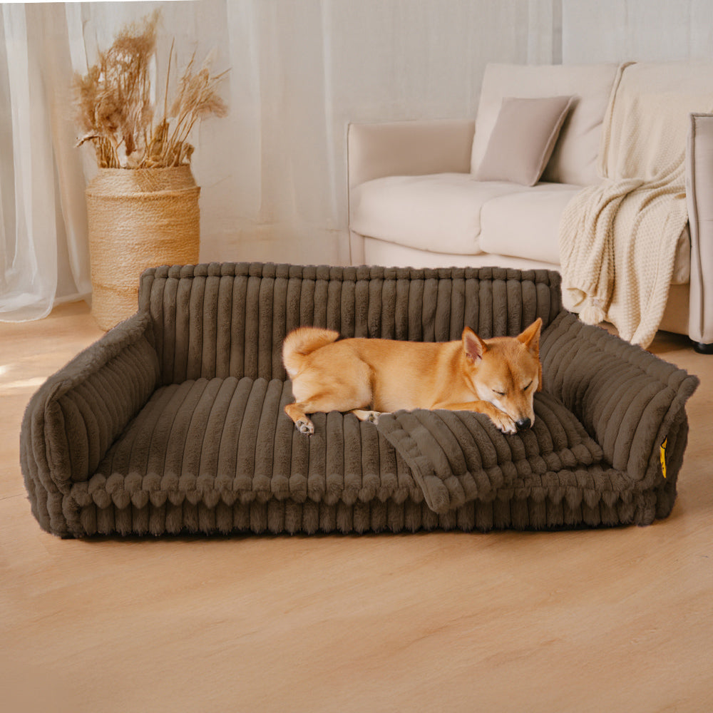 Where your pet’s rest comes first – PawSure Comfort™