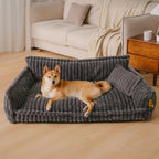 Where your pet’s rest comes first – PawSure Comfort™