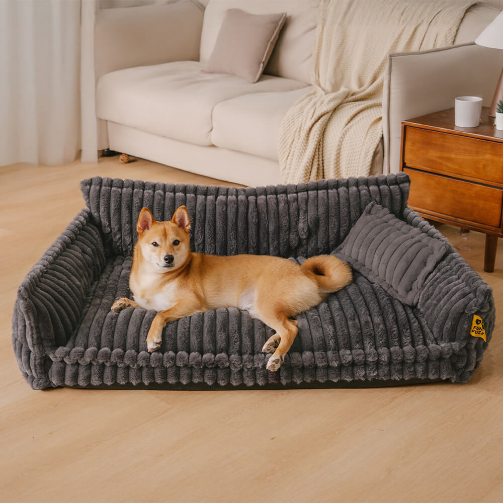 Where your pet’s rest comes first – PawSure Comfort™
