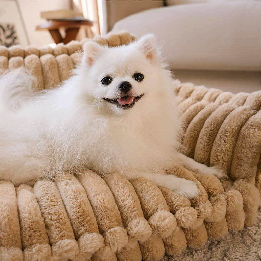 Where your pet’s rest comes first – PawSure Comfort™