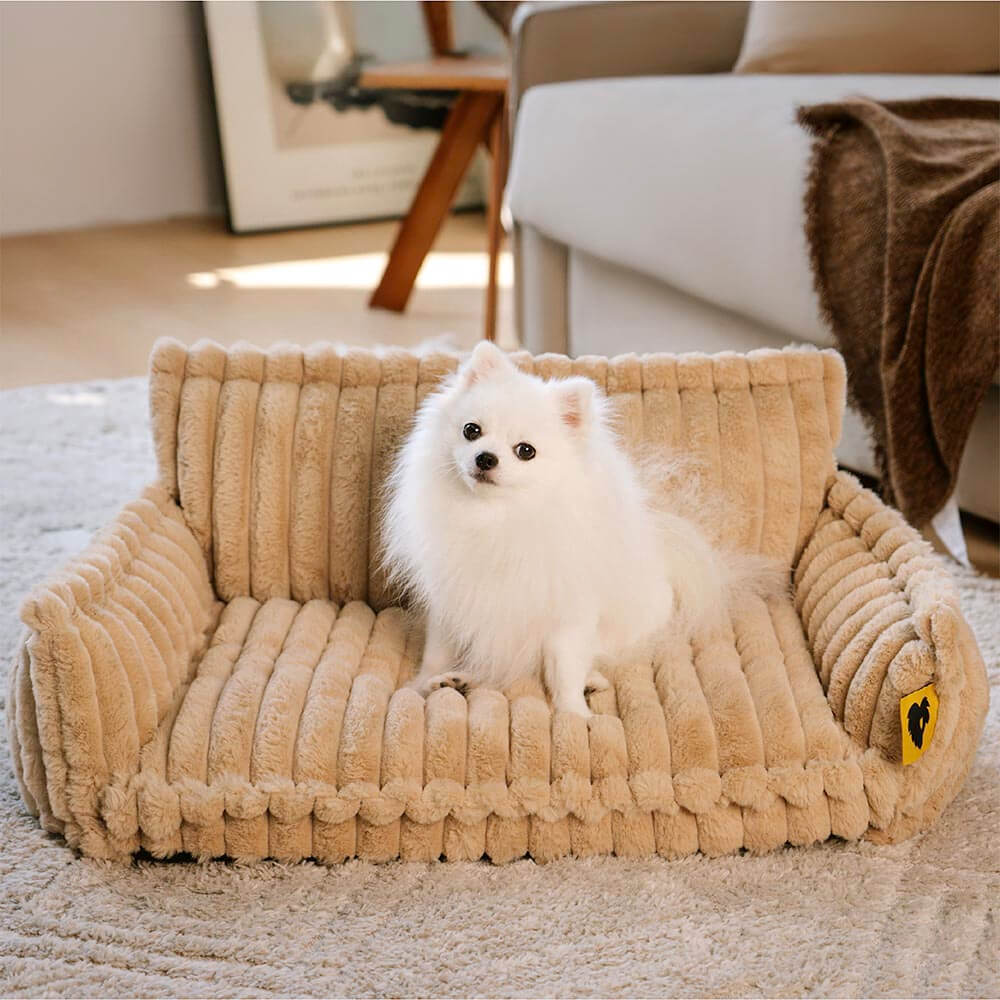 Where your pet’s rest comes first – PawSure Comfort™