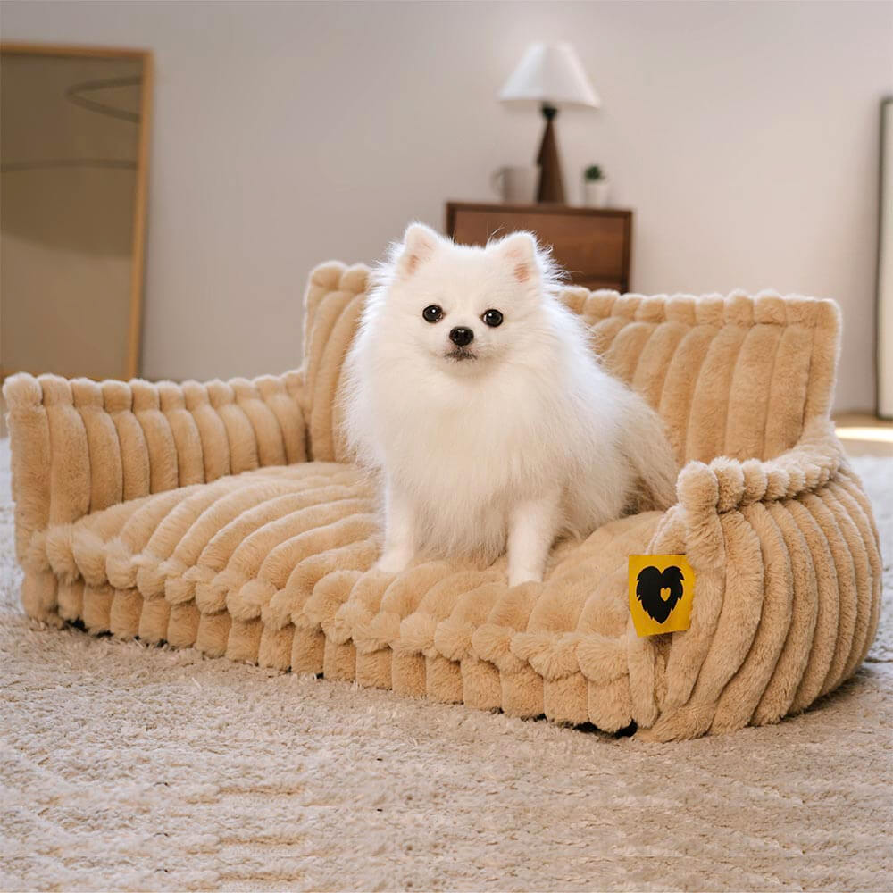 Where your pet’s rest comes first – PawSure Comfort™