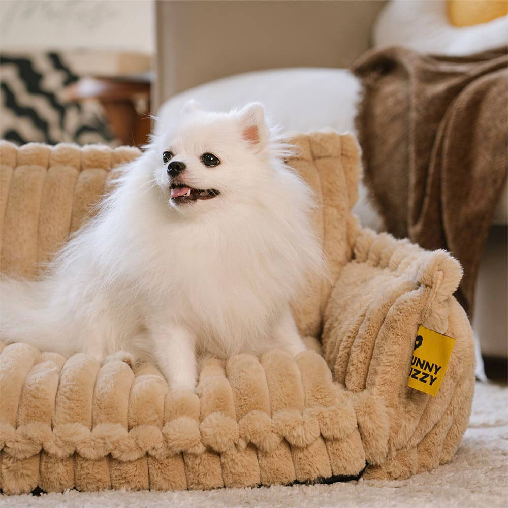 Where your pet’s rest comes first – PawSure Comfort™