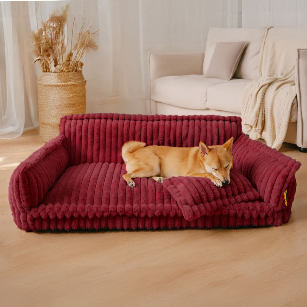 Where your pet’s rest comes first – PawSure Comfort™